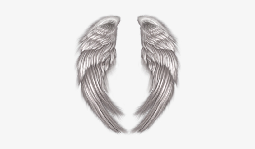 Mystic Wings - Soul Mates & Angels, transparent png download