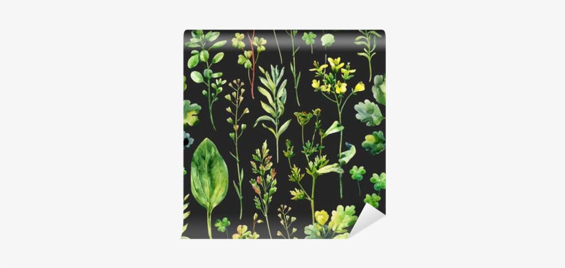 Watercolor Meadow Flowers, Weeds And Herbs Seamless - Luční Plevele A Byliny, transparent png download