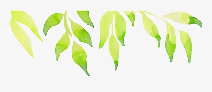Header Green Leaves Left - Darkness, transparent png download