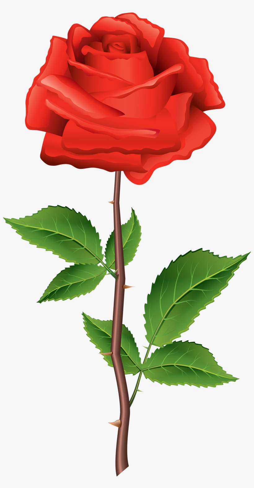 Stem Red Rose Png Clipart - Rose Clipart Png, transparent png download