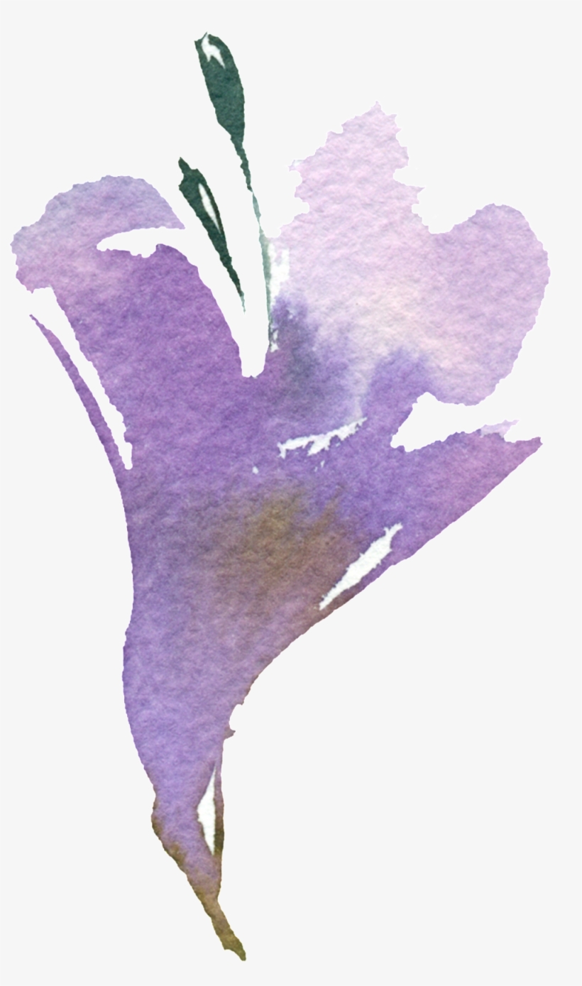 Hand Painted Art Watercolor Png Transparent - Orris Root, transparent png download