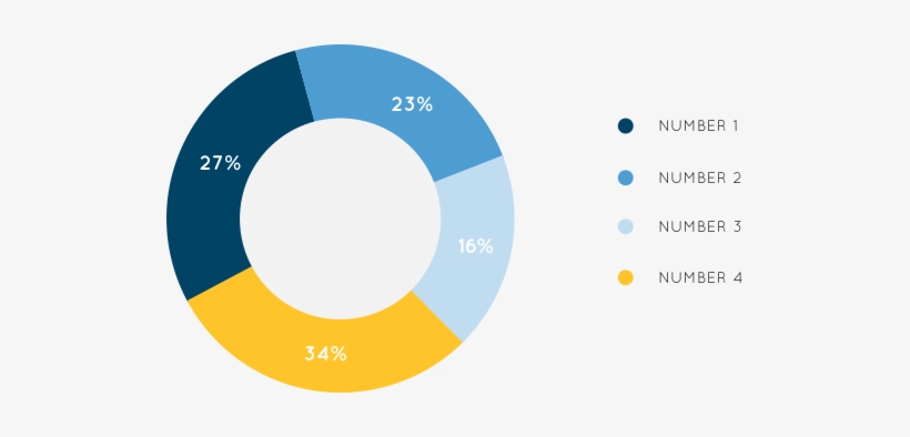 Pie-chart - Lowy Institute, transparent png download