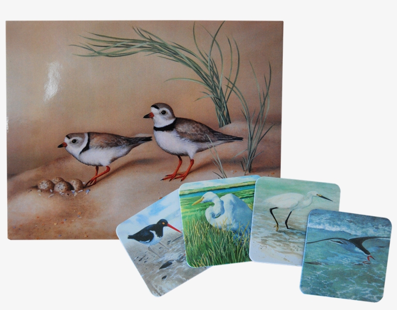 Coasters & Placemats - Placemat, transparent png download