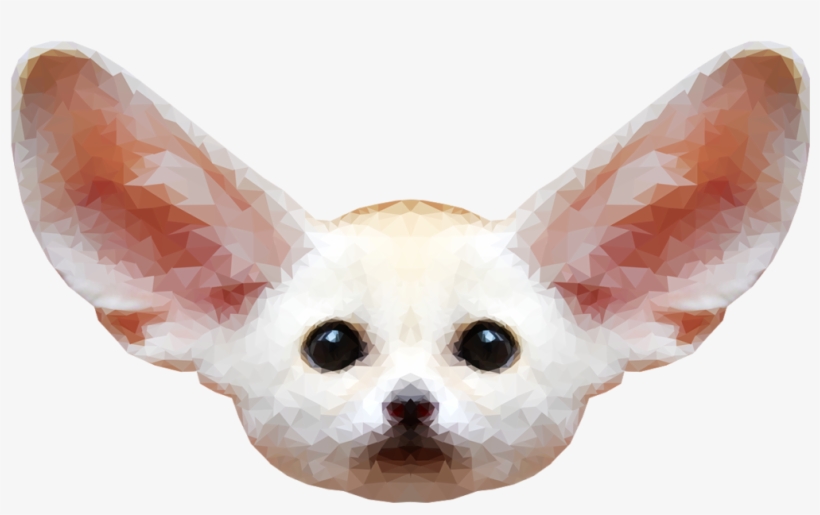 Fennec Fox Png Free Download - Pup Fennec Fox As Baby, transparent png download