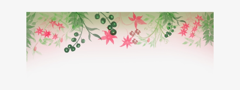 Flower Floral Border Png Background, Border, Background, - Png พื้น หลัง ดอกไม้, transparent png download