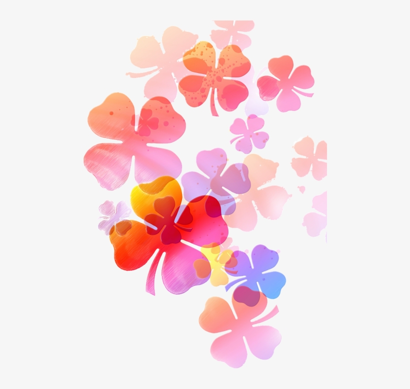 Flower,soft,drawing,soft Flower,floral, - Wish You A Many Many Happy Returns, transparent png download