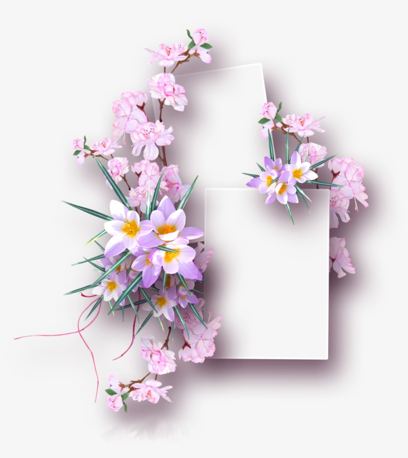 B *✿*welcome Back Early Bird Text Background, Wallpaper - Marco Para Fotos De Mujer Png, transparent png download