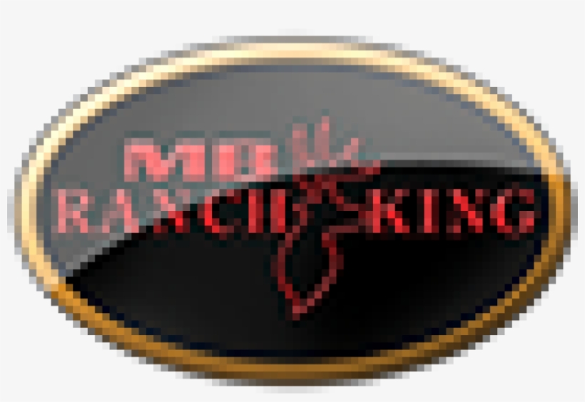 Kawasaki Of Caldwell - Abdulkerim Bengi Anadolu Lisesi, transparent png download