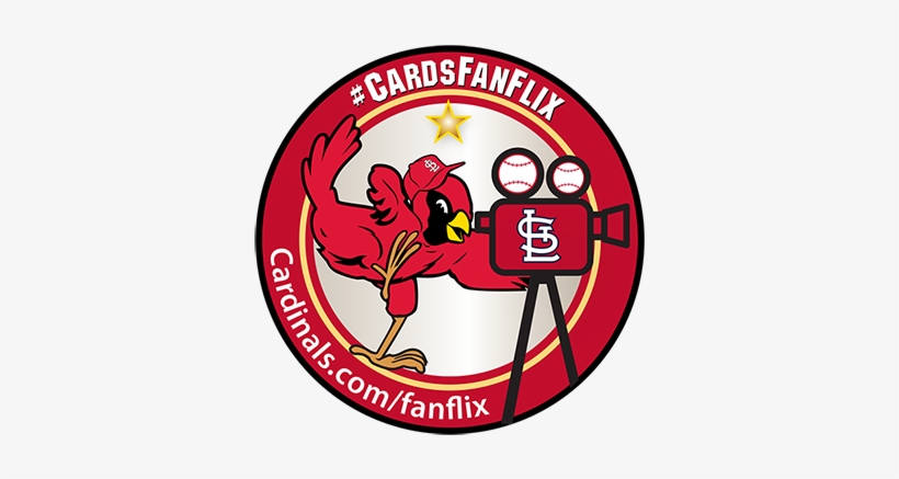 If I Do Not Agree To All Of These Terms Or If I Am - St Louis Cardinals, transparent png download