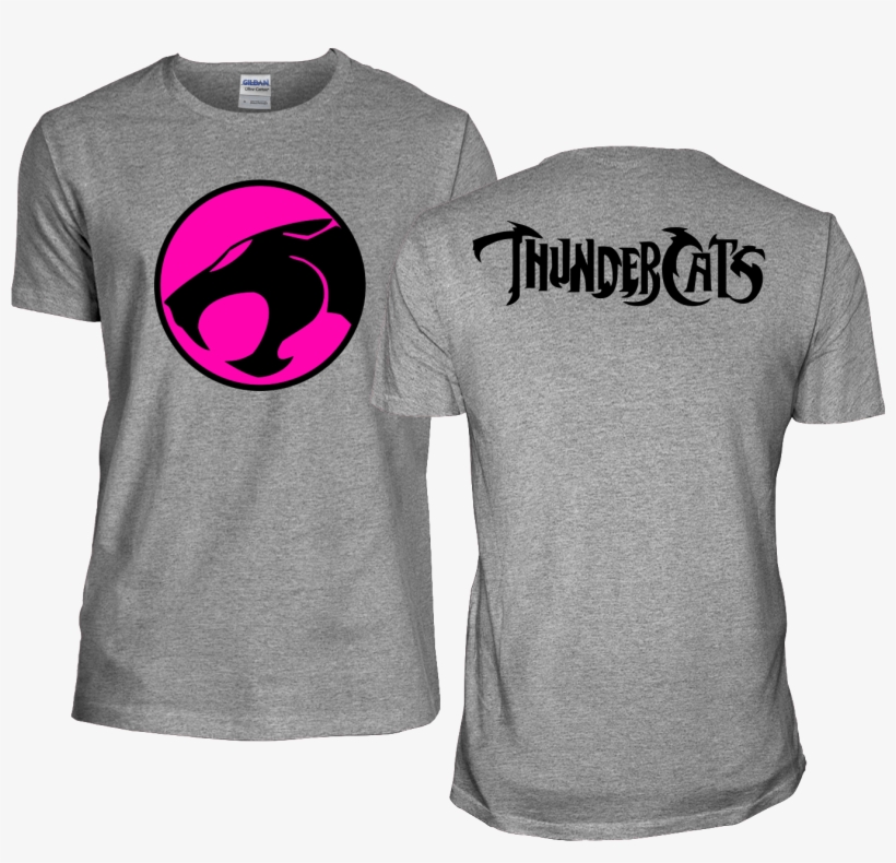 Thundercats Jerseys Gray Cropped - Thundercats Keyring. Lion O Metal Photo Keyring, transparent png download