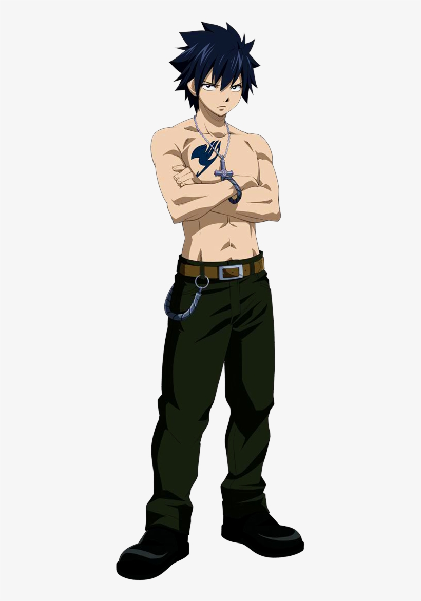 Gray Fairy Tail, transparent png download