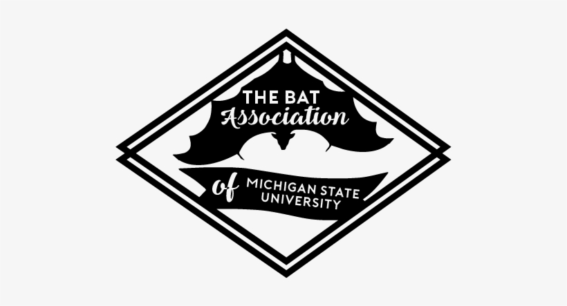 About Us - Bat Association Of Msu, transparent png download