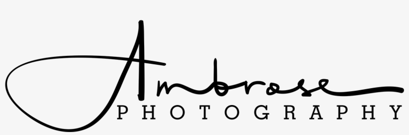 Picture - Ambrose Photography, transparent png download