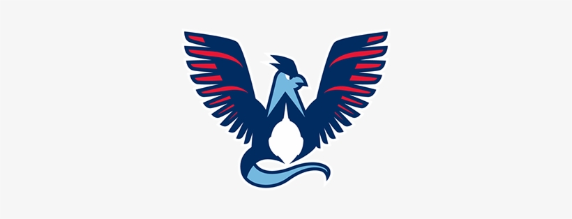 18 Jul - Native American Traditional Bustle, transparent png download