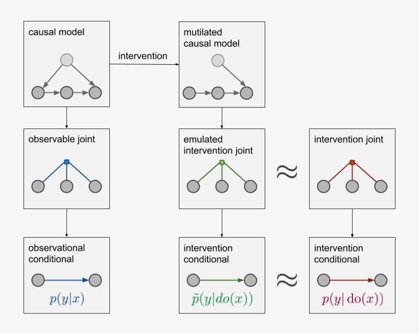 In Addition To The Observable Joint We Now Also Have - Causality, transparent png download
