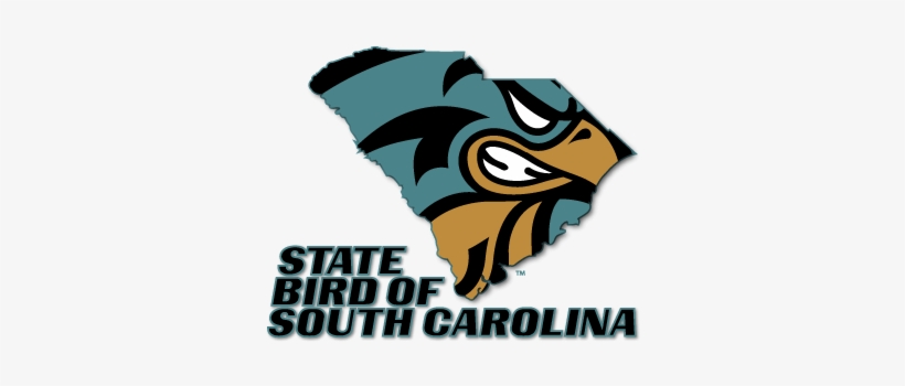 Visit - Coastal Carolina University, transparent png download