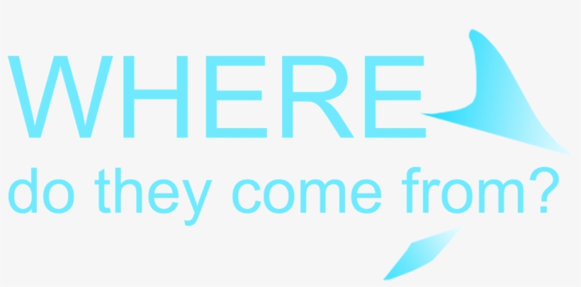 When You Visit A Dolphinarium, Such As The 'seas With - Personalizable Photo Throw Blanket, transparent png download