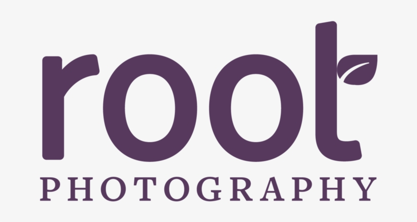 Bridesmaids On Peabody Memphis Rooftop - Engagement At Rollins College, transparent png download