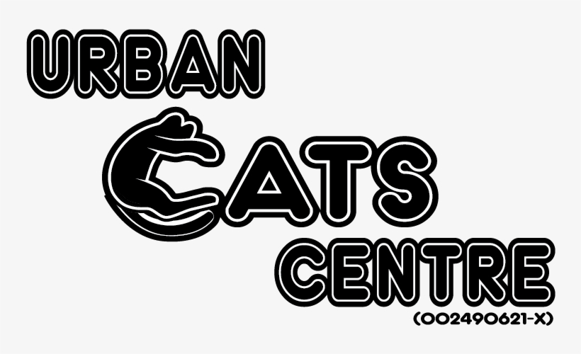 Urban-cat Logo - Information, transparent png download