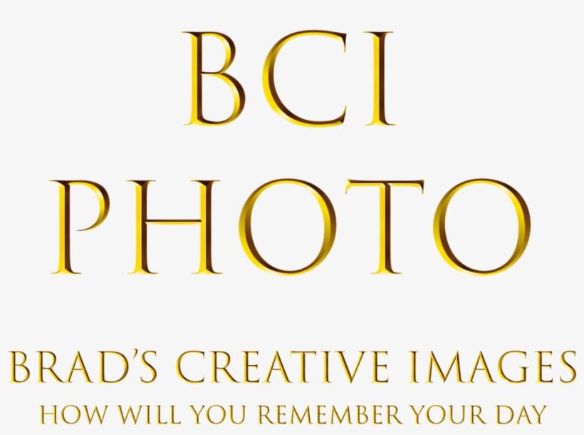 Florida Beach Wedding Portrait Through Antique Doors - Graphics, transparent png download