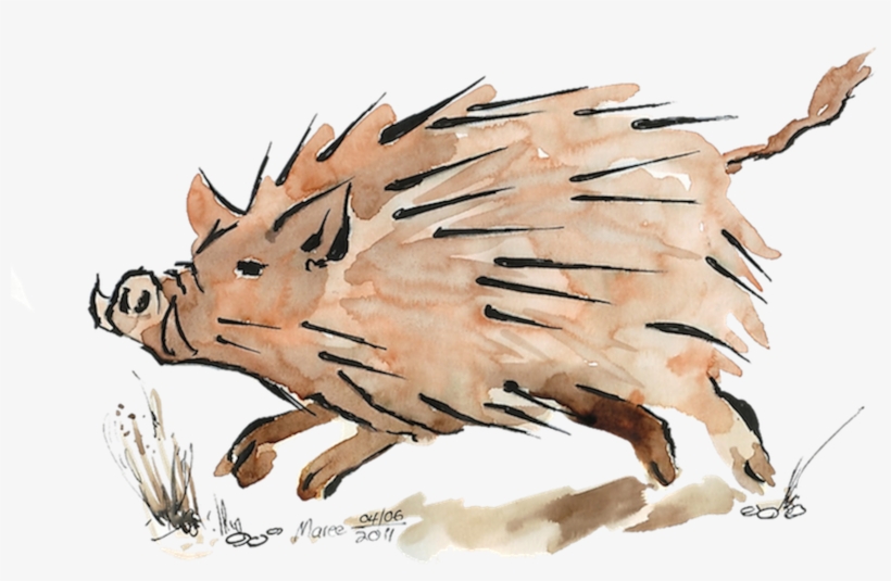 Artwork - Drawing, transparent png download