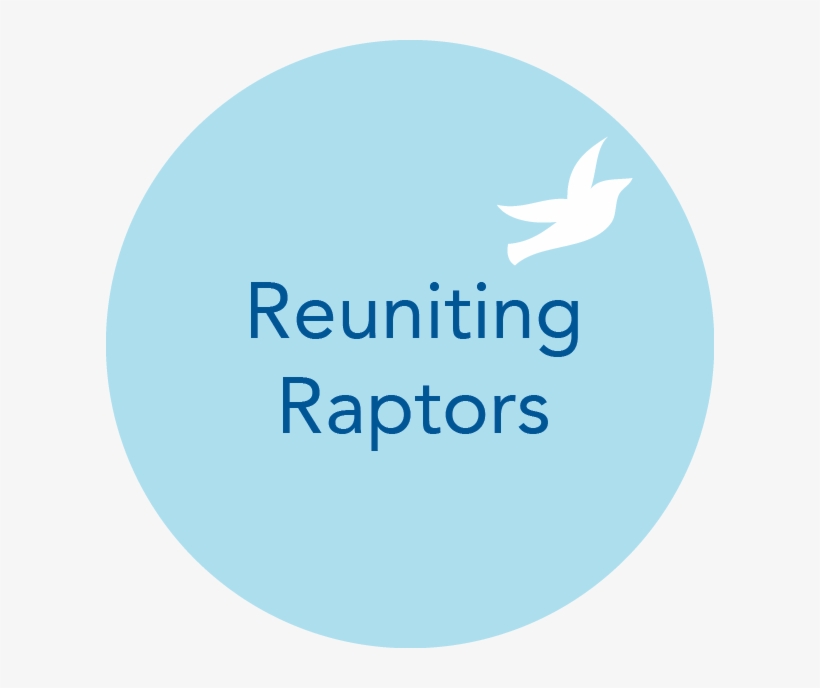 Reuniting Raptors - Circle, transparent png download