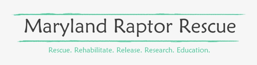 Maryland Raptor Rescue - Maryland Raptor Rescue, Inc., transparent png download