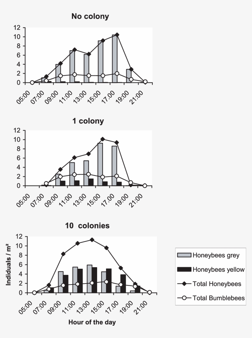 Mean Forager Density On The Phacelia Field Without - Diagram, transparent png download