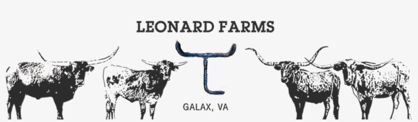 Texas Longhorns Football, transparent png download