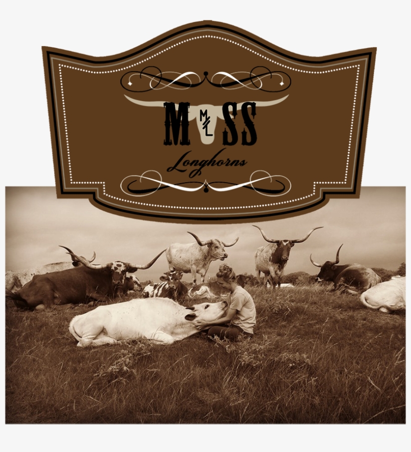 Moss Longhorns - Texas, transparent png download