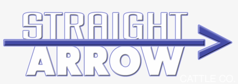 Home - Cattle, transparent png download