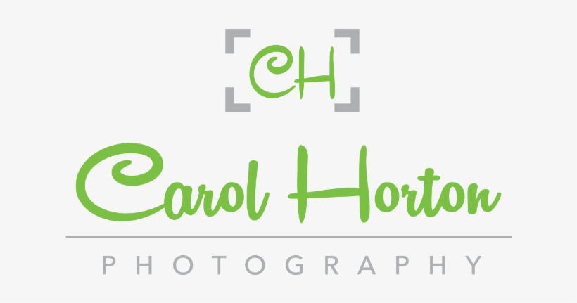 Logo - Carol Horton Photography, transparent png download
