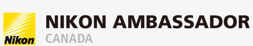 More Articles By This Contributor - Nikon 55-200mm F4-5.6 G Af-s Dx-black, transparent png download