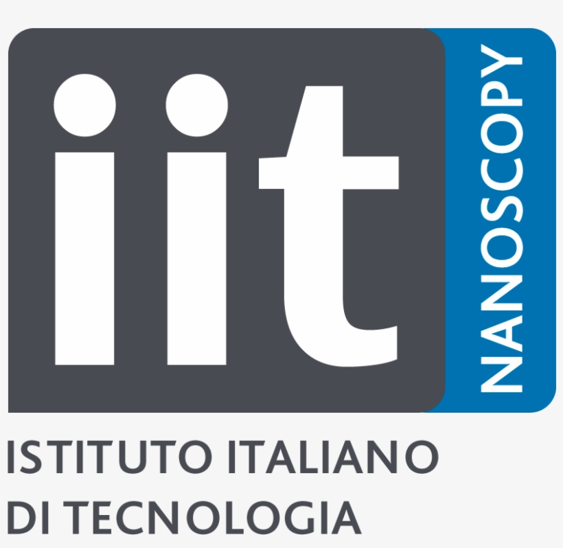 Istituto Italiano Di Tecnologia, transparent png download