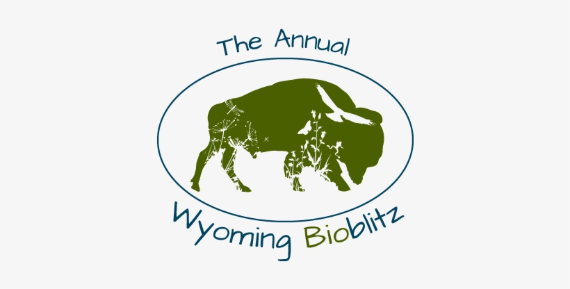 Wyoming Bioblitz - Audubon Rockies, transparent png download