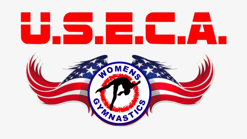 Celebrating 42 Years Of Gymnastics Service - Gymnastics, transparent png download