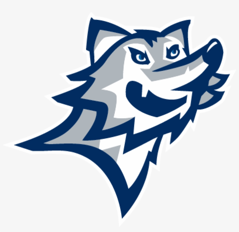 Pages Content 202 Photo - Vertebrate, transparent png download