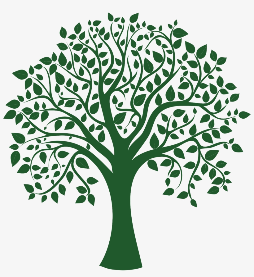 Green Tree Logo Png - Sociology: The Basics [book], transparent png download