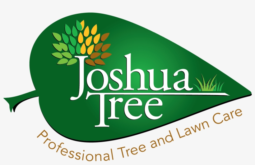 Joshua Tree, transparent png download