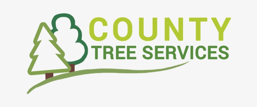 2018 • Privacy Policy - Pizza Hut Coupons 2010, transparent png download