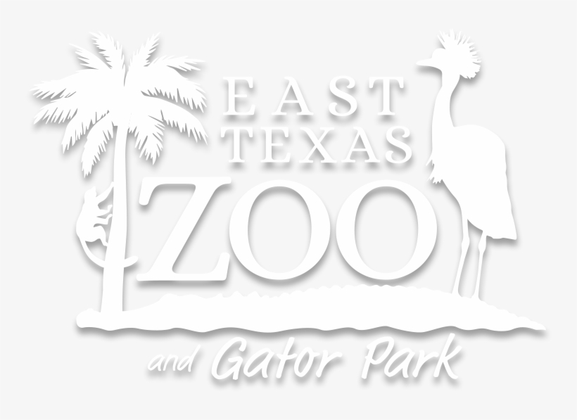 East Texas Zoo & Gator Park - East Texas Zoo, transparent png download