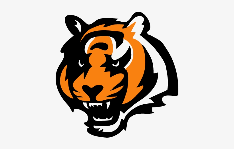 Report - Cincinnati Bengals Icon, transparent png download