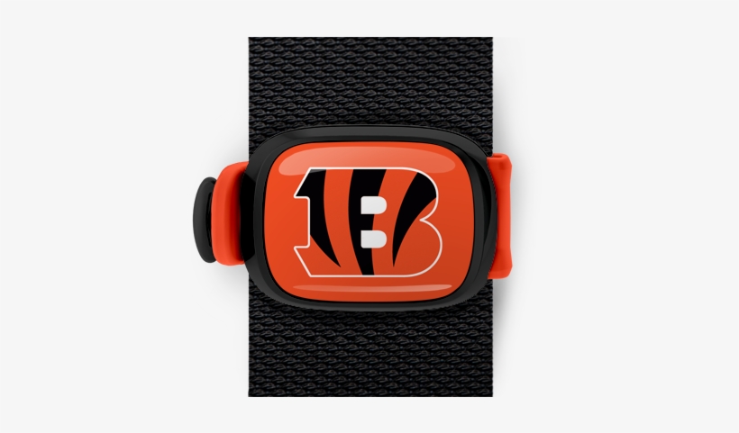 Cincinnati Bengals Stwrap - Buckle, transparent png download