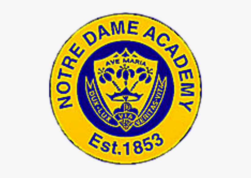 Notre Dame Athletics - Panhead Beer, transparent png download