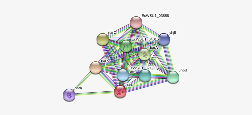 Circle, transparent png download