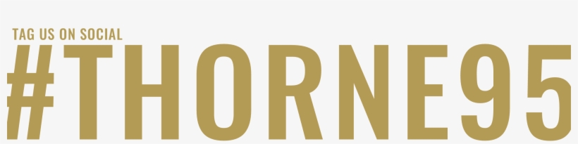 Why Choose Thorne - Beige, transparent png download