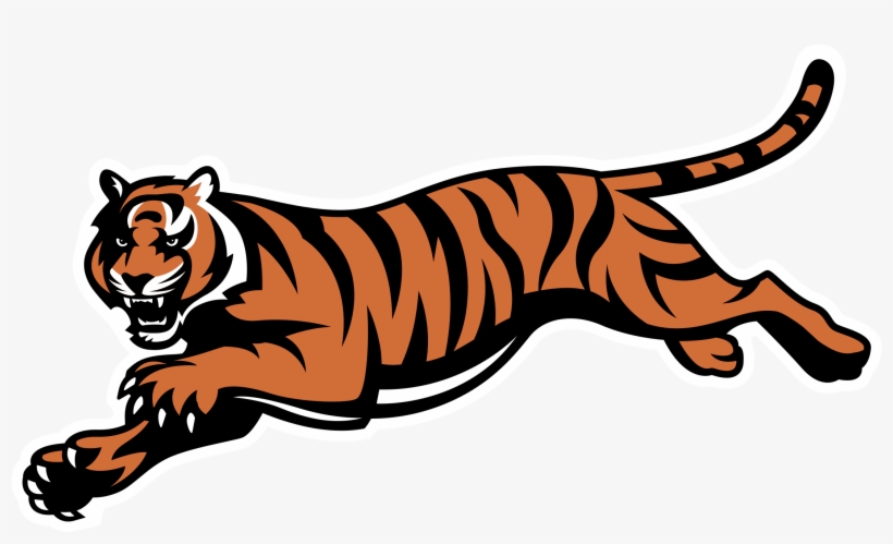 Cinncinati Bengals Logo Png Transparent - Cincinnati Bengals Logo, transparent png download