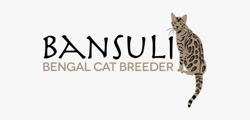 Bansuli Bengals - Mandala: Journey To The Center, transparent png download