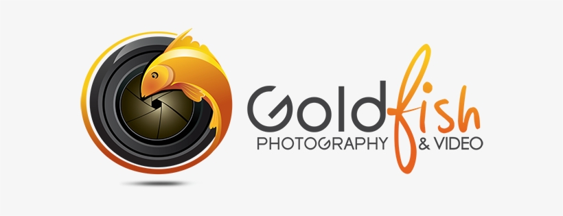 Photography & Videography Logo, transparent png download