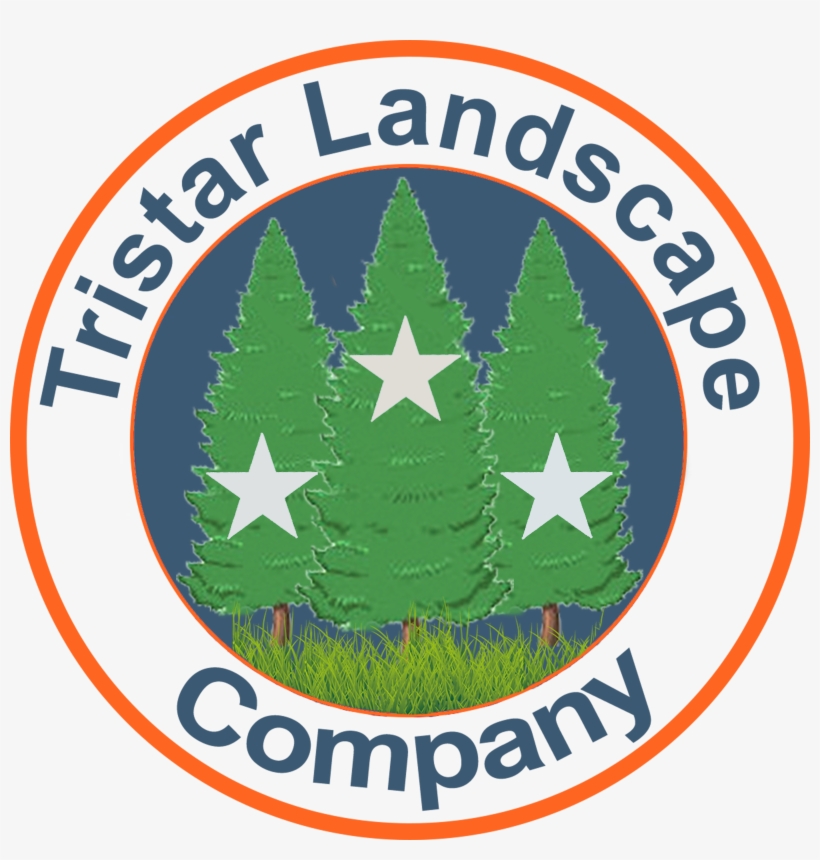 Vector Graphics, transparent png download